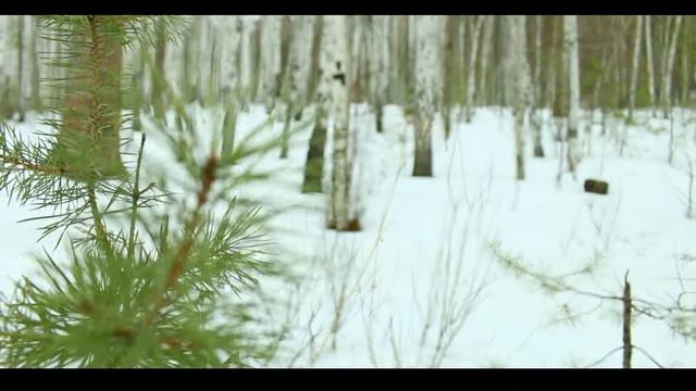 C ДНЁМ РОЖДЕНИЯ САНЁК!!! смотреть онлайн