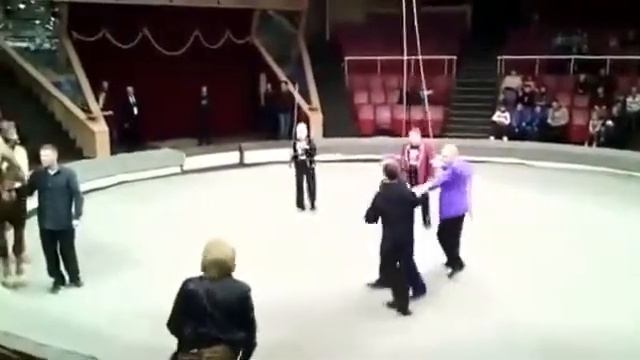 Сходила с пьяным мужем в цирк 😂😂😂