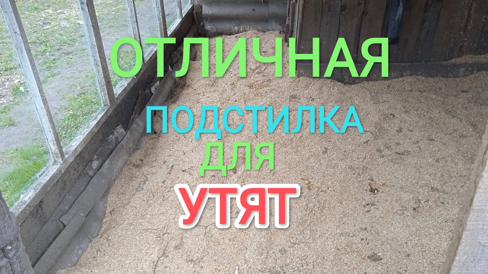 Какую подстилку лучше стелить утятам смотреть онлайн