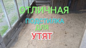 Какую подстилку лучше стелить утятам
