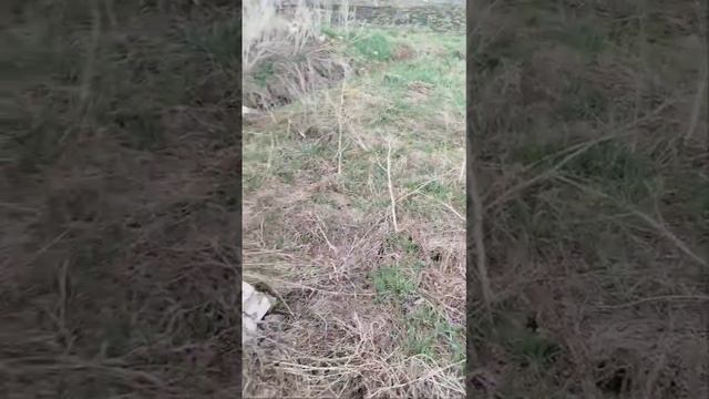 11942679 смотреть онлайн