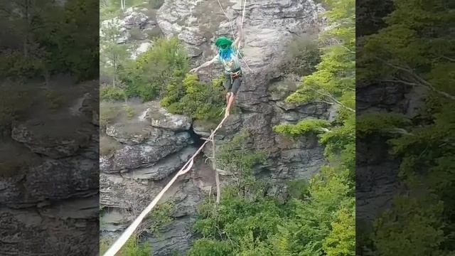 When grateful dead bears walk highlines смотреть онлайн