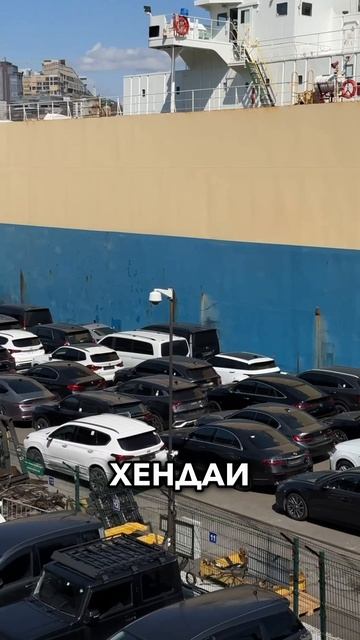РАЗГРУЗИЛИ АВТОВОЗ В ПОРТУ Узнали свои авто?) #автоподзаказ #авто #автовоз #южнаякорея #владивосток смотреть онлайн