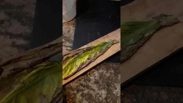 твист смотреть онлайн