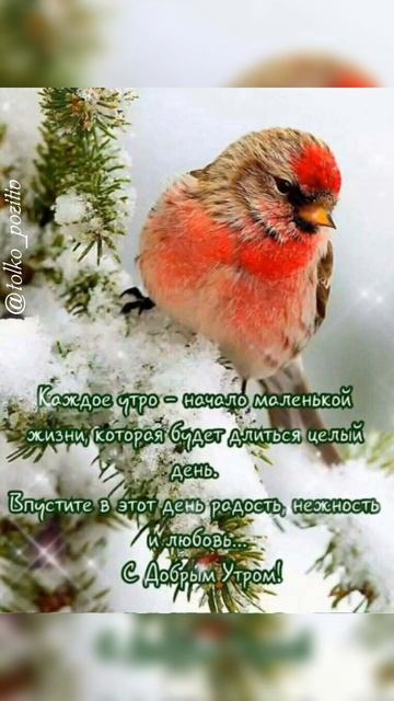 С добрым утром воскресенья! смотреть онлайн