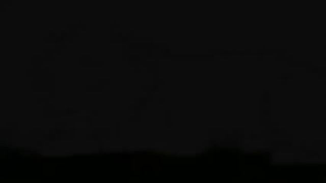 Коты Воители - Ты любил ее?