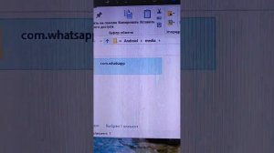 как скачать статус видео с WhatsApp