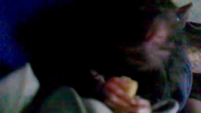 хищный крыс))))))))) смотреть онлайн