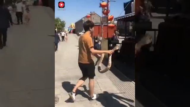 Приколы ради смеха смотреть онлайн