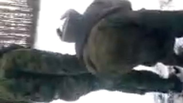 Карлик)))Реально смешное видео)) смотреть онлайн