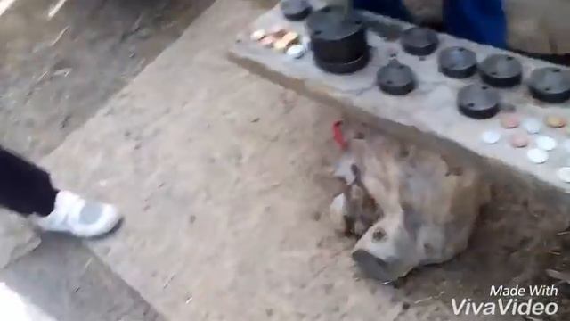 поездка в деревню викингов 2 часть смотреть онлайн