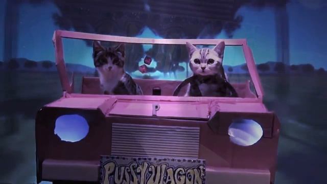 Котики поют песни Тролль не снимают модный клип смотреть онлайн