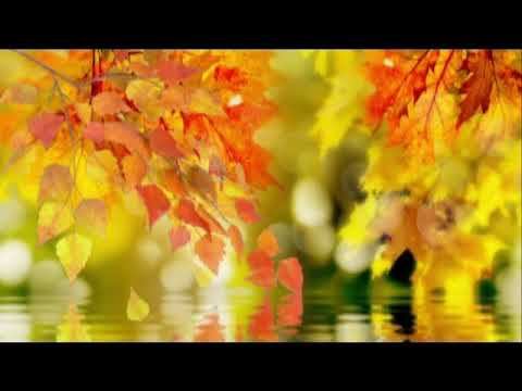 Костя Крамар - "А можно я помолчу". Читает Владислав Витковский смотреть онлайн