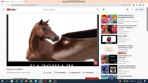 животные плюс шиза