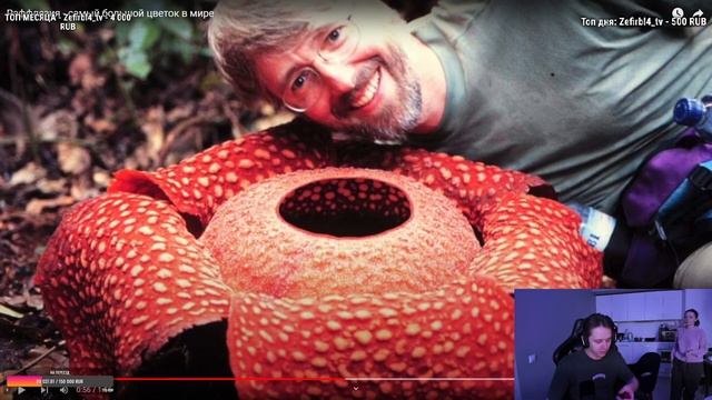 ФАСОЛЬКА РОФЛИТ С ВОВЫ - Fasoollka, Vatarls