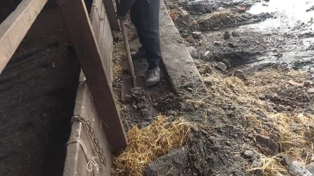 Жизнь в селе#Казахстан#Первый снежок.Ремонтируем сарай.