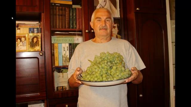 С днём рождения Николай К. смотреть онлайн