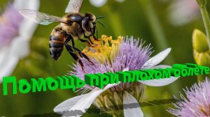 Профессор Кашковский: Помощь при плохом облёте