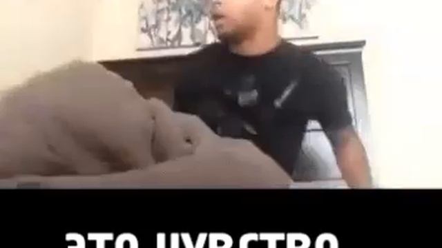 Смех до слез😂😂😂😂😂 смотреть онлайн