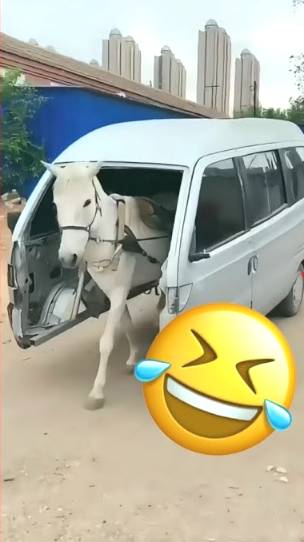 adam rose construction tips foryour funnyvideos engineering