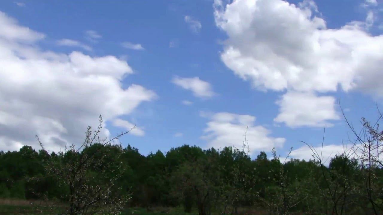 Лидолия Никитина - Разрешите подарить цветы. Устремленность. Читает Владислав Витковский смотреть онлайн