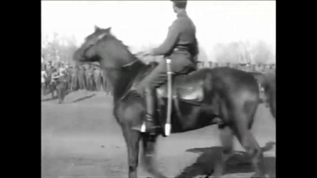 Марш Белой армии (флекс Белого Движения)