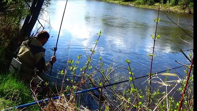 🎣Весенняя Рыбалка на реке, клюёт, ЯЗЬ смотреть онлайн