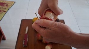 Рамбутан или волосатый фрукт - как его есть и какой на вкус