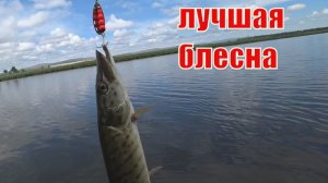 Рыбалка на щуку на спиннинг с берега.