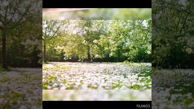 Твоя весна моей весною стала...🌸🌸🌸🌾🌾🌾🌿 смотреть онлайн