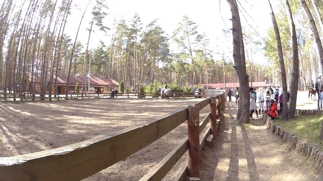 КСК Пегас | Александра Калибернова | Патчиоли | Выездка смотреть онлайн