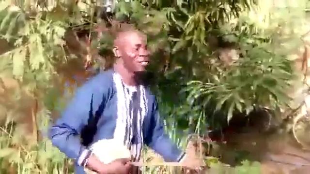 Zemba sulemane смотреть онлайн