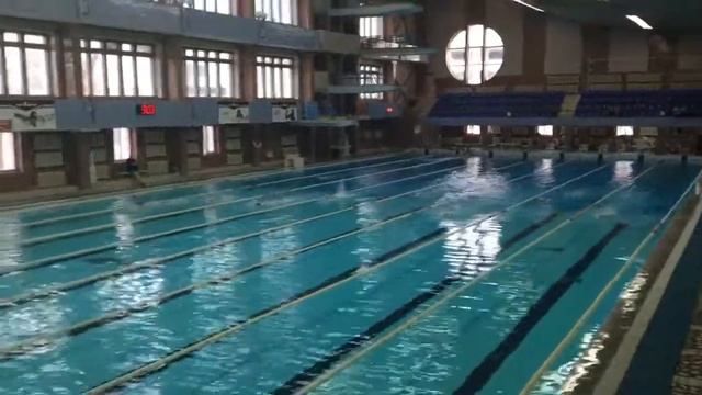 Соревнования по плаванию 27-02-16 50м кроль смотреть онлайн