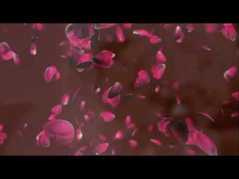 Лидолия Никитина - Двое у зажжённой свечи. Читают Элла Якубенкова и Владислав Витковский смотреть онлайн