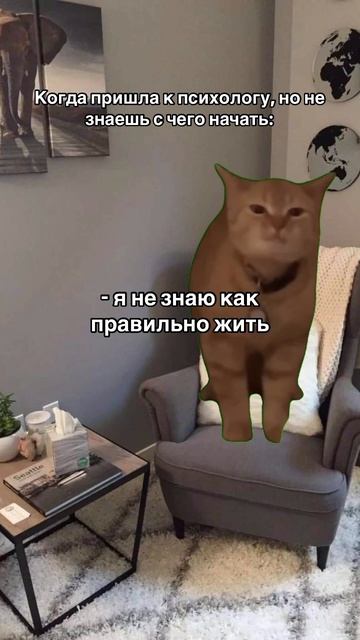 #психология #котики #мемыскотами #консультацияп