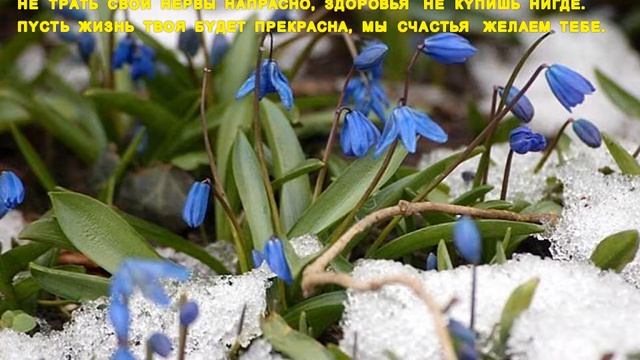 Костя, с днем Рождения 2013 ! смотреть онлайн