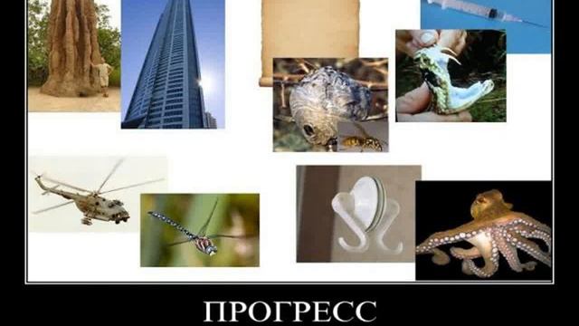 Картинки Демотиваторы Приколы 22460 смотреть онлайн