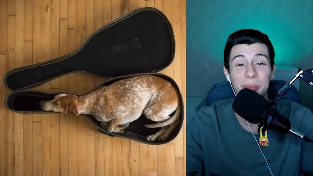 Люди Которые Застряли В Странных Местах! Реакция На Прикол! смотреть онлайн