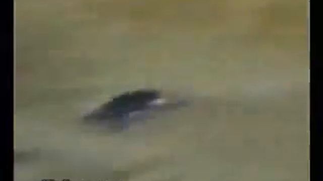 Рабочая неделя смотреть онлайн