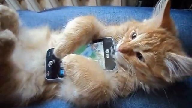 Миша! просыпайся! Misha! Wake up! смотреть онлайн