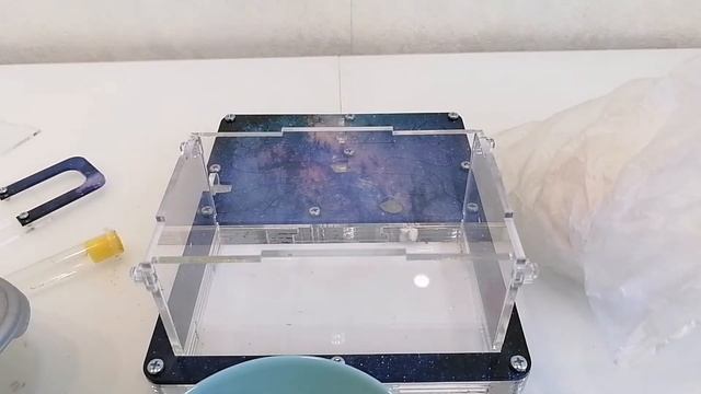 Генеральная уборка на арене муравьёв. смотреть онлайн