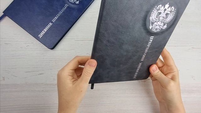 Дневник школьный, формат А5+, 48л., твёрдый переплёт, запаянный край, искусственная кожа, арт.68738 смотреть онлайн