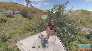 Как установить турель в кусте RUST/РАСТ