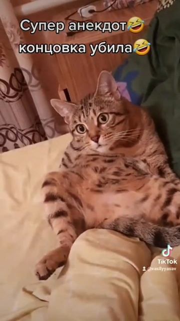 очень весёлый анекдот смотреть онлайн