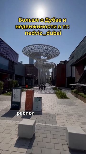 Самое большое колесо обозрения в мире! Больше о Дубае в тг nedviz_dubai #дубай #дубайинвестиции смотреть онлайн