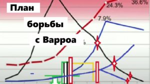 План борьбы с клещом Варроа.