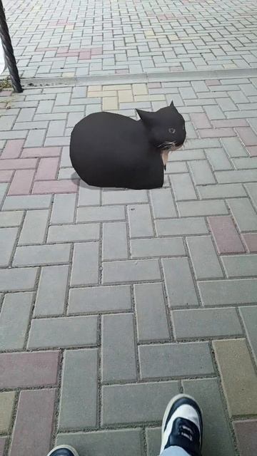 кот батончик 12 часть