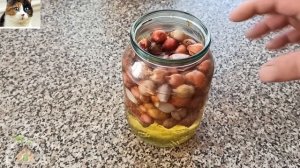 Чем обработать Лук перед посадкой от болезней и луковой мухи. Хитрости обработки лука и не только