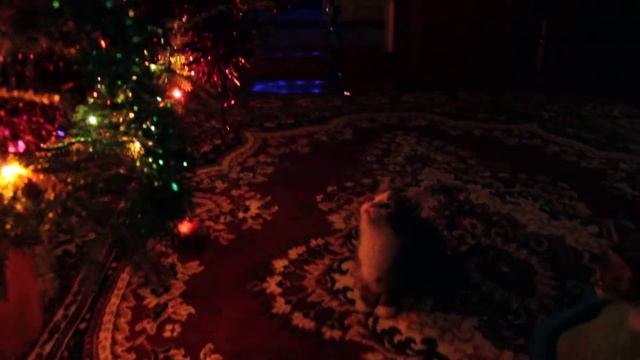 Самое смешное видео. Смешное видео про котов. Ёлка новогодняя трещит. смотреть онлайн