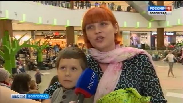 Презентация новой цирковой программы «Весна» в Волгогораде. смотреть онлайн